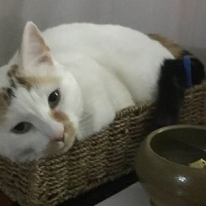 Meet your Posher, Tina